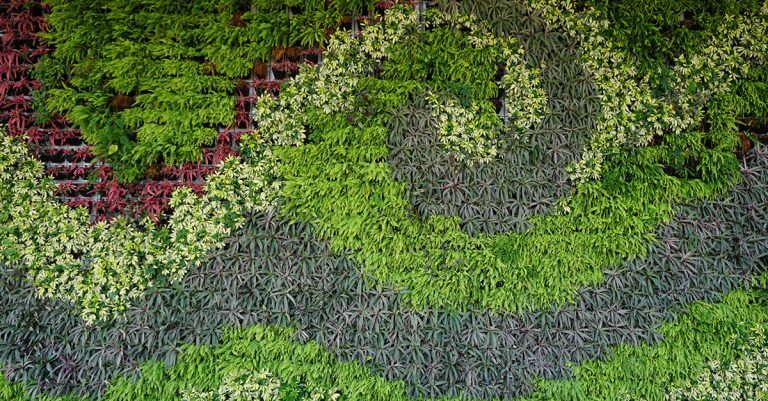 Mantenimiento Jardines Verticales